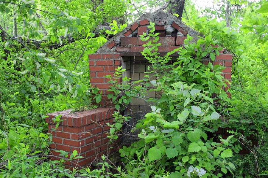 Restaurer un jardin abandonné / en friche