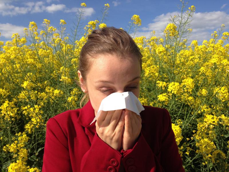 Allergie au pollen et jardinage