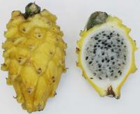 Fruit du dragon jaune