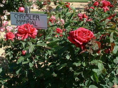 rosier-chrysler-imperial-1