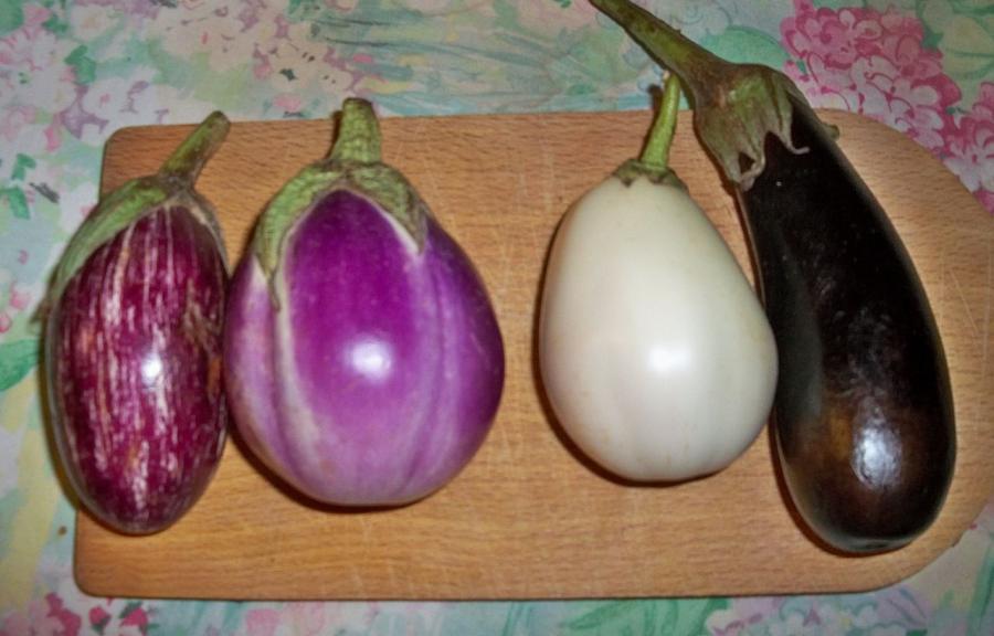 Aubergines françaises