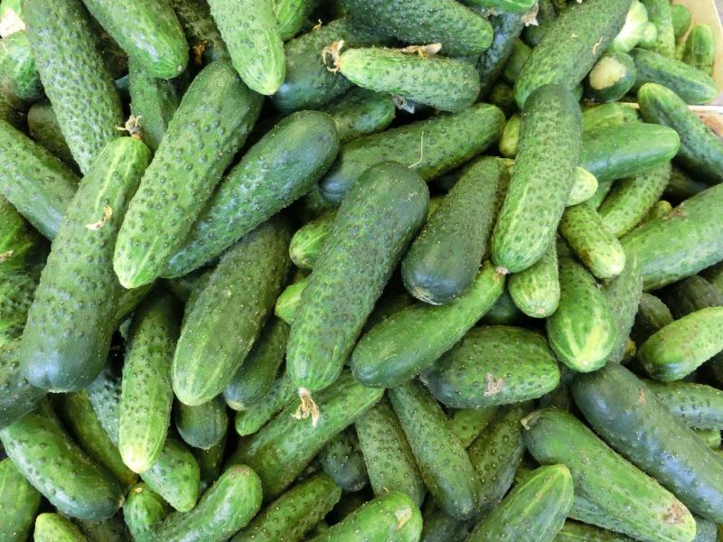 Cornichons français