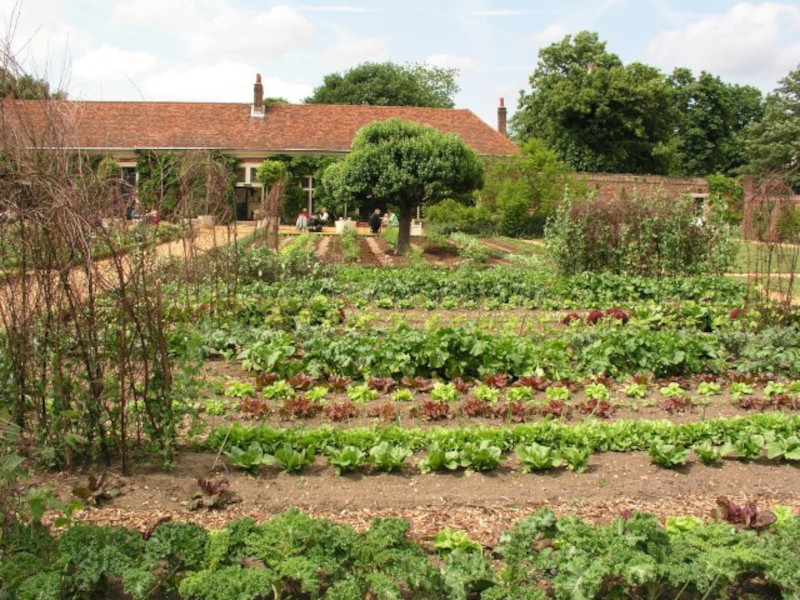 Entretien du potager