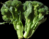 Brocoli