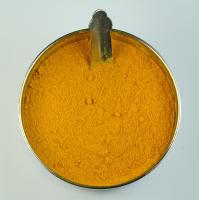 Curcuma longa