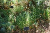 Sesl&eacute;rie d'automne