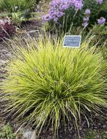 Sesl&eacute;rie d'automne