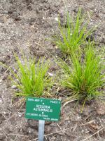 Sesl&eacute;rie d'automne