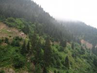 &Eacute;pic&eacute;a d'Orient