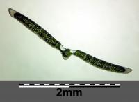 Sesl&eacute;rie bleue