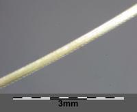 Stipa capillaire