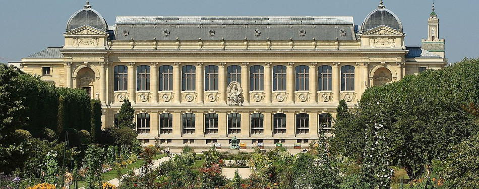 jardin-des-plantes-de-paris.jpg